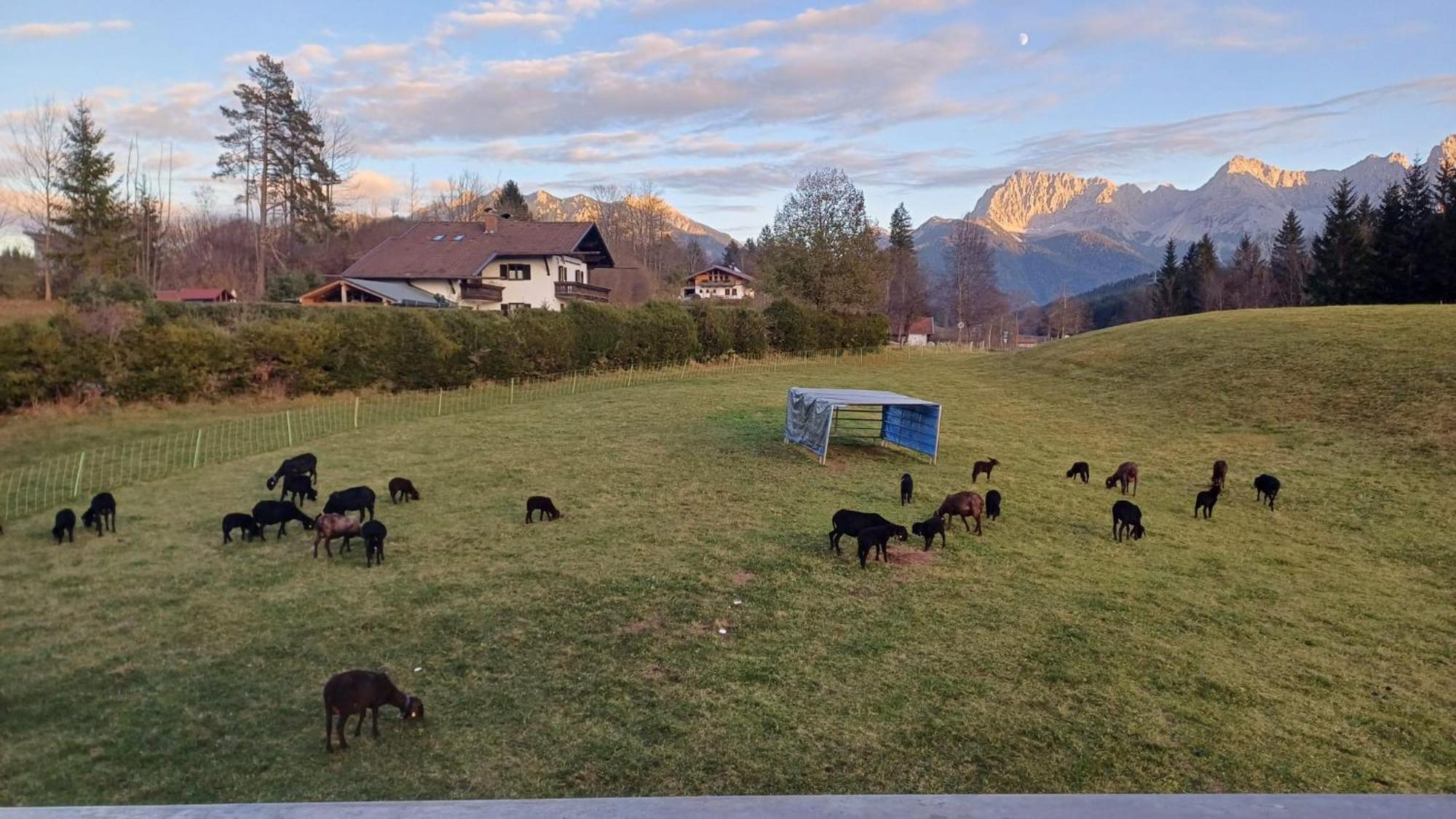 Bauernhaus Jocher Krün Exteriör bild